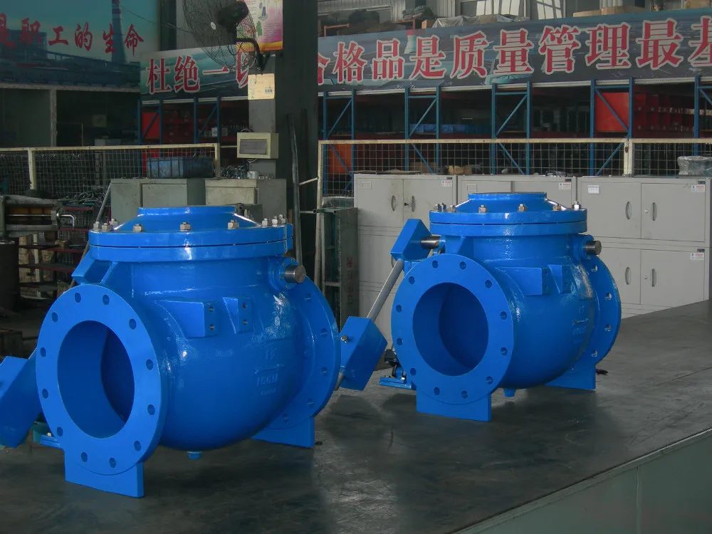 air cushion check valve with lever and weight.JPG
