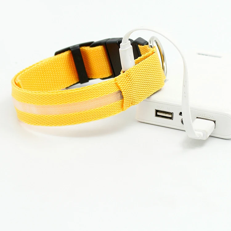 

charging styles led dog collar free shipping cost