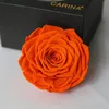 Online Forever And Ever Kardinal Rose For DIY Projects From Yunnan Flower Company