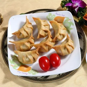 
FROZEN vegetaRIAN dumpling 