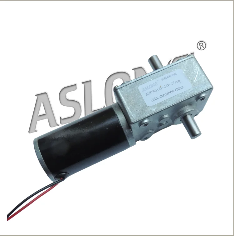 A58SW31ZYS high torque dual shaft worm gear motor 12v tubular dc motor