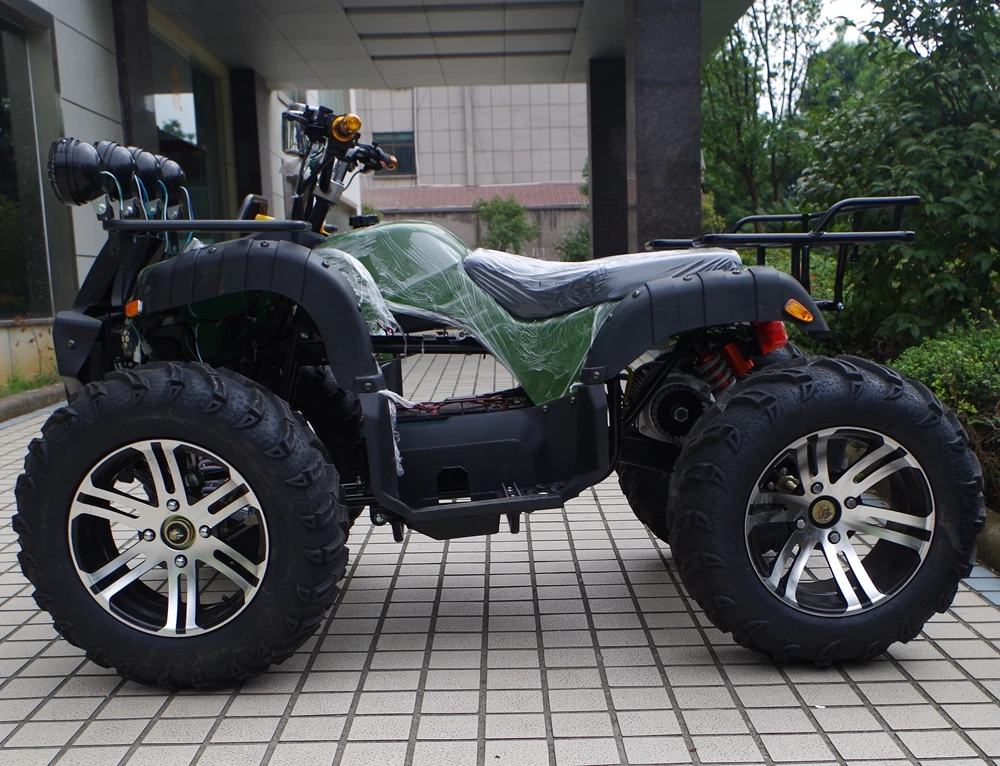 IMGP5054