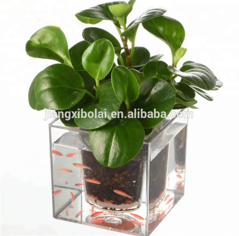 Crystal Cube Pot Hydroponic Garden Flower Pot Fish Pot Buy