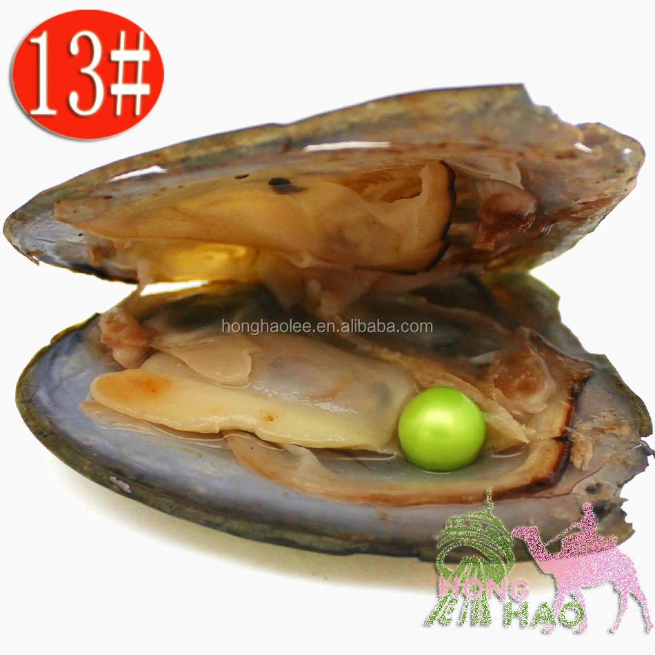 

2018 Spot 7-8mm#13 Green Freshwater Natural Round Pearl & Freshwater Triangle Oyster Shell Vacuum Pack Free Shipping, N/a