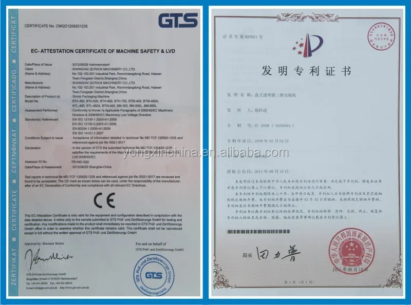 ZF CE certificate