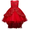 Children's dress princess dress embroidery flower girl tail pettiskirt lace girl dress