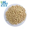 Raw fresh material blanched peanuts for philippine products seeds and supply various frozen fruits vegetables