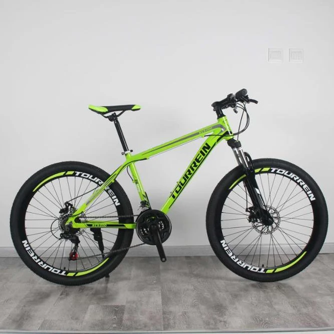 24 frame mountain bike