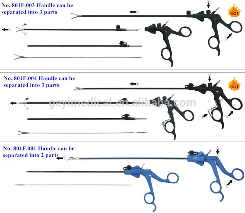 EBBFF539C28064539BA9B0F862606C4F