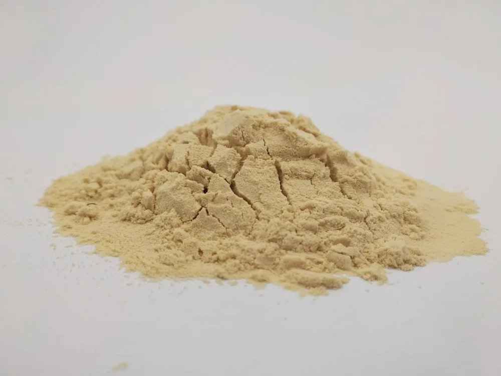 
Bulk and Wholesale Organic Pea Protein Isolate 