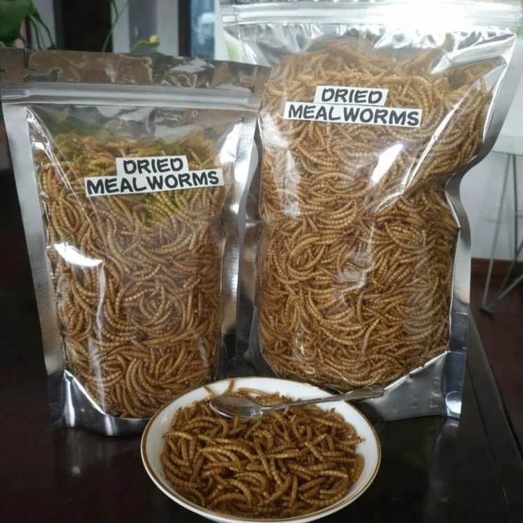 Edible Insects,Mealworms Insect For Humans,Crunchy Mealworms For Humans