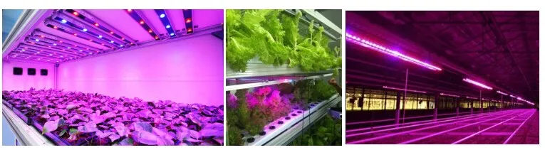 lux lighting hydroponics