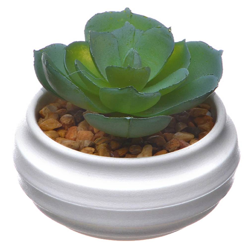 
Cheap wholesale outdoor /indoor decorative potted plant small potted bonsai 