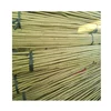 FD-167262Bamboo cane used for support tree