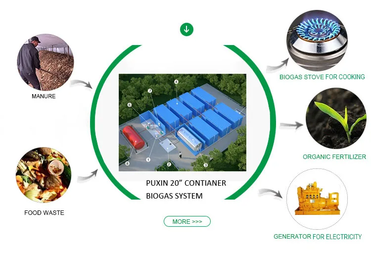 container biogas plant