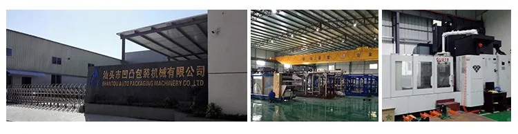 Oem Full Automatic Plastic Cup Small Pp Ps Vacuum Forming Thermoforming Machine