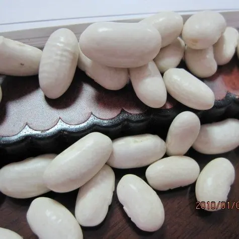 
China white Kidney bean/Japanese non-gmo or organic 
