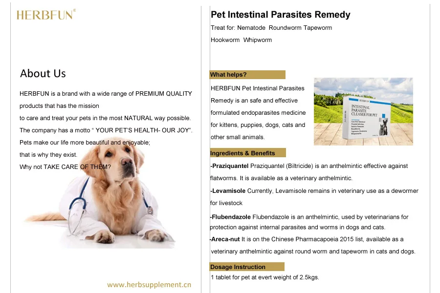 
Pet Intestinal Parasites and Endoparasites Medicine for Dog and Cat 