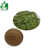 GMP/FDA factory supply Senna leaf extract powder with Free sample