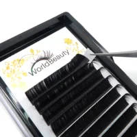 

Classic 3d mink lashes individual eyelash extension training