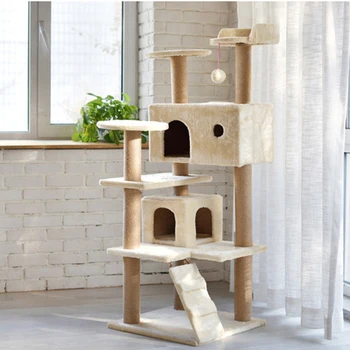 cat climbing house