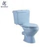 Light Blue Dual Flush Water Closet Easy Clean Siponic Two Piece Ceramic Toilet