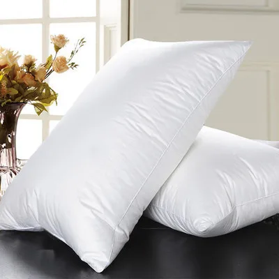 Goose Down Pillow (2).jpg