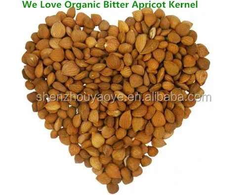 
Grade AAA Organic Bitter Apricot Seeds For Export 