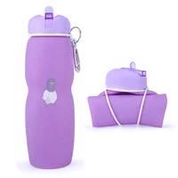 

Amazon Top Seller 700ml Silicone Collapsible Sport Water Bottle Bpa Free