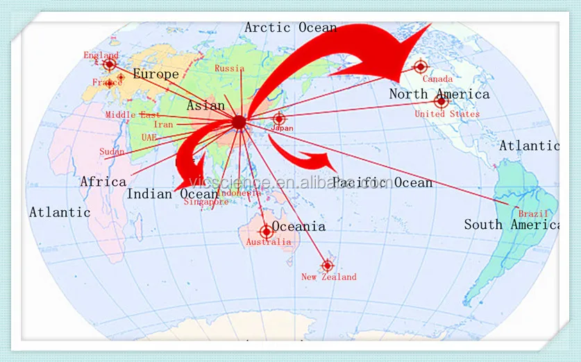Sales Network 1_.jpg