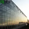 FM China Supplier Well Designed Multi span Glass Greenhouse