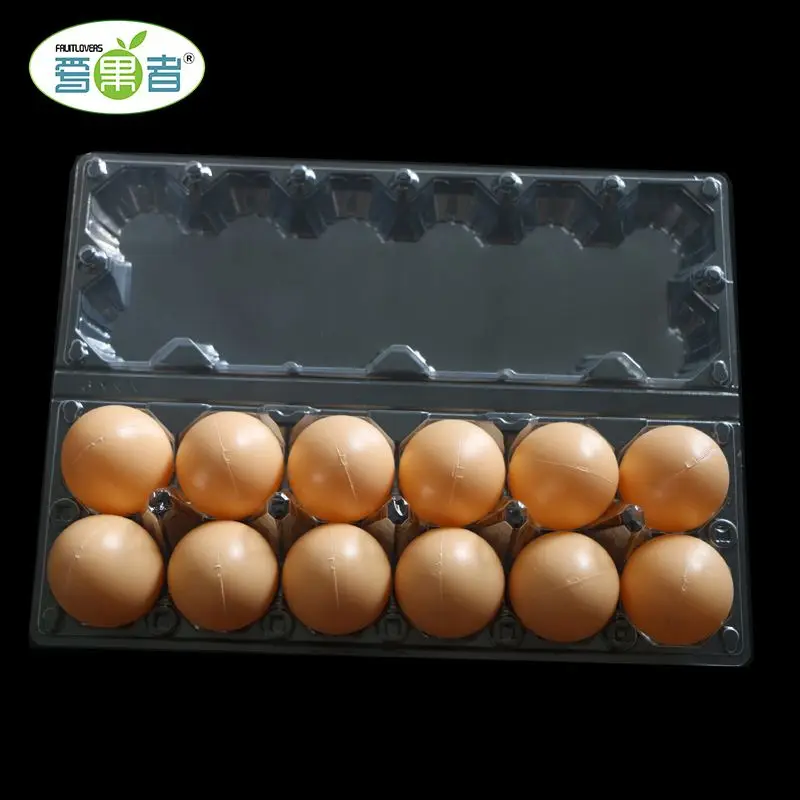 Ayam Plastik Karton Telur dengan Harga Murah