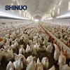 prefabricated free range chicken steel structure for chicken house