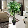Artificial Braided eucalyptus plant money tree, fortunate tree