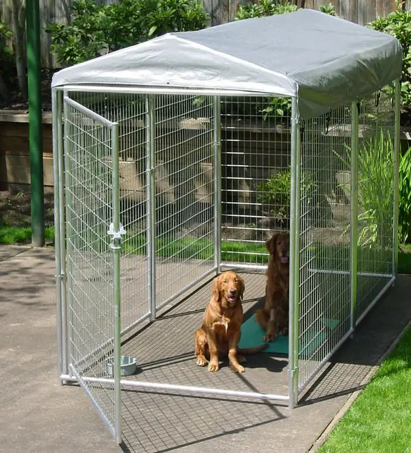 10'x10'x6' Galvanized Large Outdoor Chain Link Dog Kennel Buy 10'x10