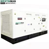 225 kva city electric support diesel generator