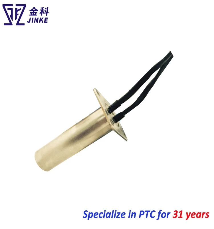 PTC for water heater 1.jpg