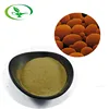 Factory Supply High Quality Halal Yeast Extract Powder with Free Sample