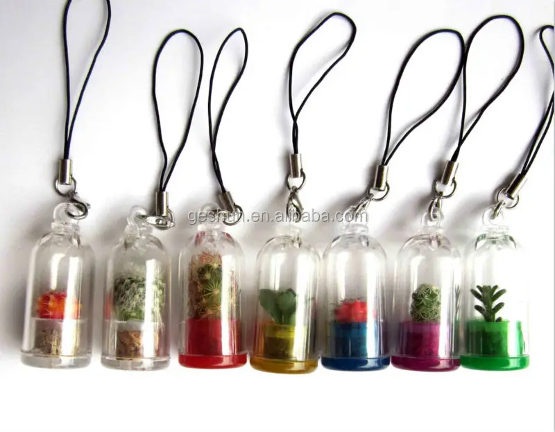 
Mini plant Key chain mini plant 