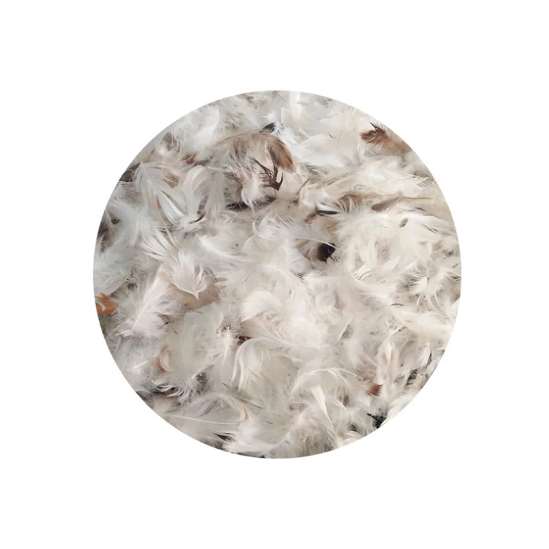 
Wholesale 90% Washed White Duck Down feather Goose Down Feather 