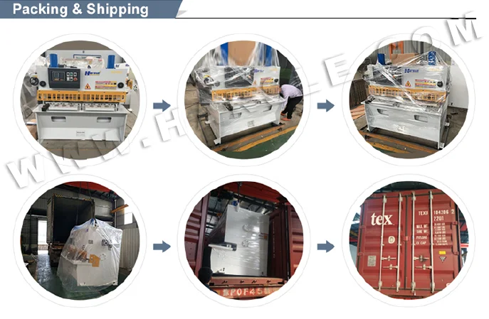 paste-pic-dp_uuid_r1yp7