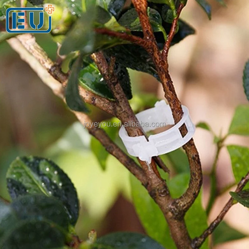 China Newest High Quality Plastic Grafting Vine Tomato Clip for tomato with High Quality