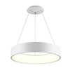Modern LED suspension Pendant Lights for Office Dining Living rooms Round Rings Lighting fixture Suspendor Pendant lam