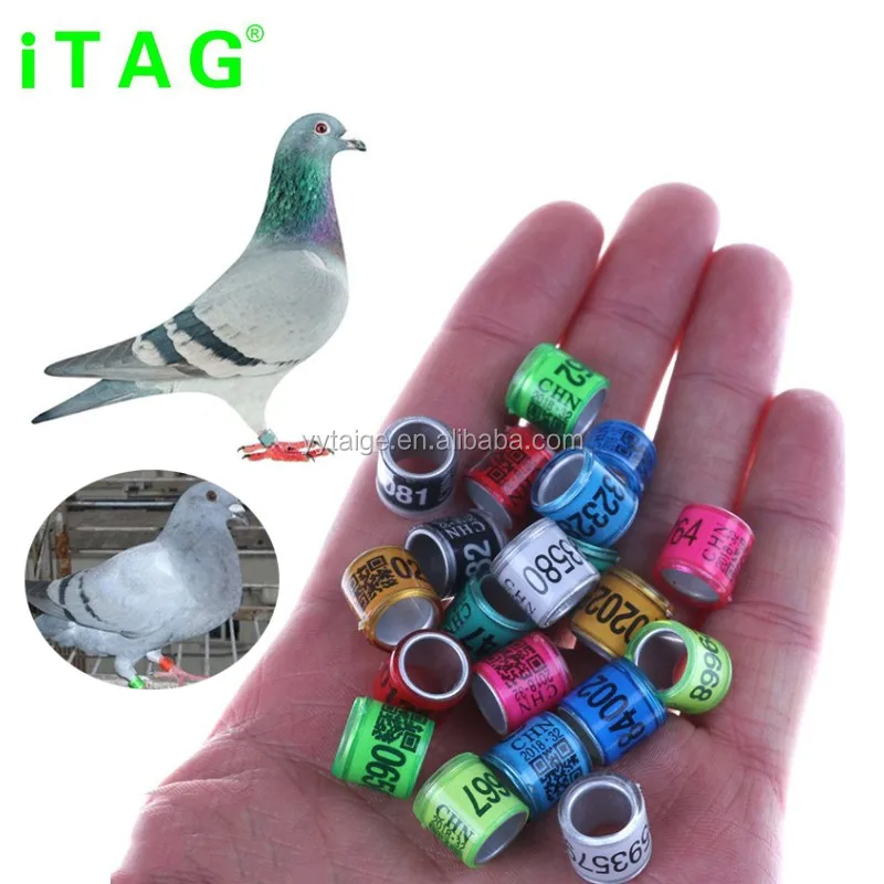 

8* 10.3mm 12 colors pigeon ring with serial number, Customized color