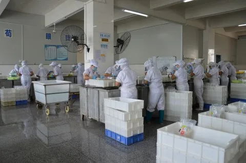 factory