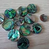 2019 natural shell craft gifts paua abalone shell pieces for jewelry accessories