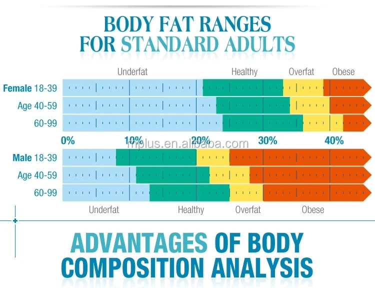 Multi function body fat analyzer composite health analyser weight measurement