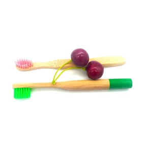 100% Biodegradable Rainbow Nylon 4 Bpa Free Bamboo Toothbrush Manufacturer