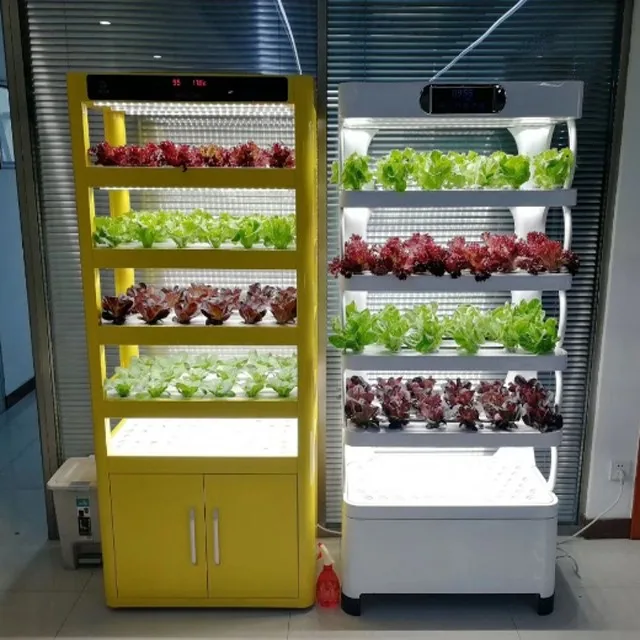 150x150 Of Hydroponic Indoor Growing Box Growing Vegetable