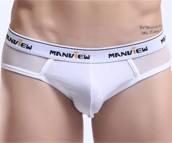 

Queena Men Mesh Underwear Briefs Sexy Transparent Mans Underwear, As picture show